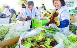 ���W(w��ng)�j(lu��)ý�w���D(zhu��n)�ġ����r(n��ng)�����Ĺ��^����