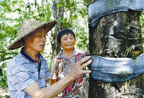 �ĸĸ��_��40�꿴�Ї����E