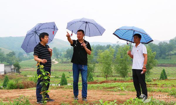 �R��ƪ��̽���a(ch��n)�I(y��)�l(f��)չ ����tɫӛ��