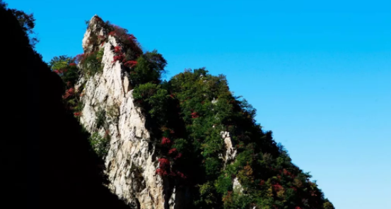 �R�����R��