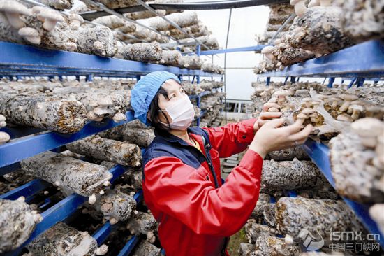 ��ɫ�r(n��ng)�I(y��)�T���S