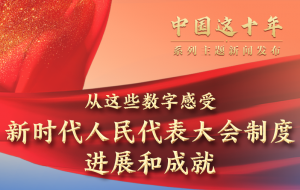 ���Ї��@ʮ�ꡱϵ�����}���l(f��)�����۽��r���Գֺ����������������ƶ��Mչ�ͳɾ�