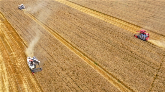 �l(xi��ng)�����dչ���