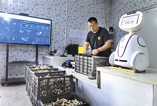 һ�乽��ġ��Ƽ�+������