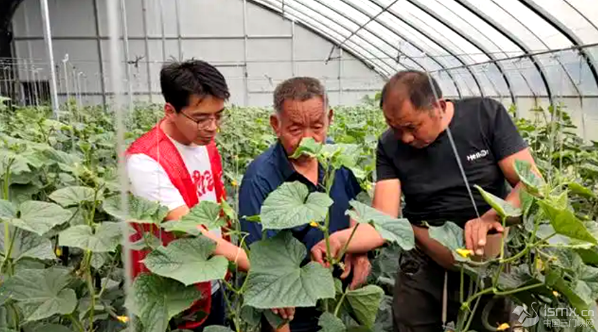 ������h�F(xi��n)���r(n��ng)�I(y��)�Ƽ�ʾ���@�߲˻��������Ƽ����ɆT�c����ؓ(f��)؟(z��)�˜�ͨ��h�Ƽ��ֹ��D