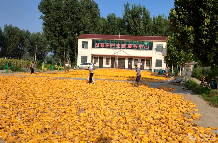 ���l(xi��ng)�з���h�����l(xi��ng)�n�f��Ⱥ�����Ļ��V��(ch��ng)��������Z���_�Ɣz