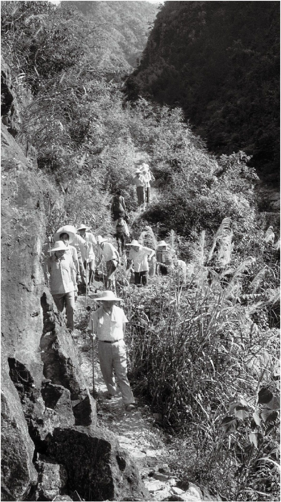 1989��7�£�����ƽһ�е��ی��h���h�l(xi��ng)�{(di��o)����